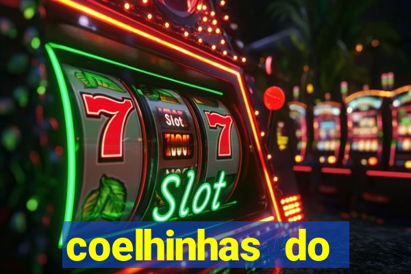 coelhinhas do brasil acompanhantes